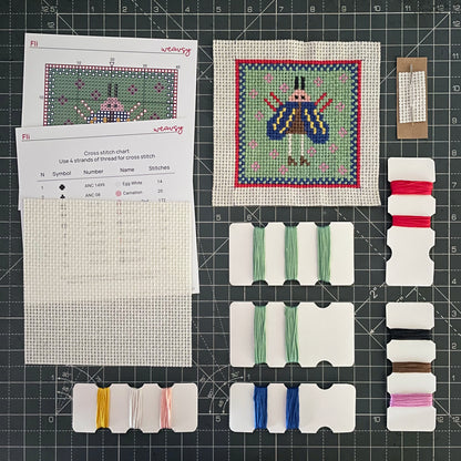 Cross Stitch Kit — Wings