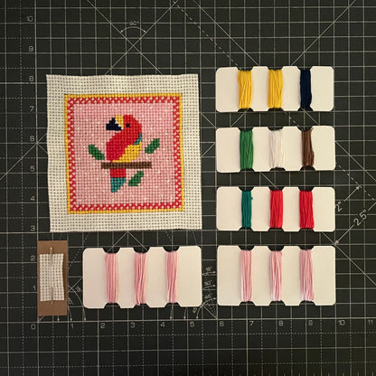 Cross Stitch Kit — Wings