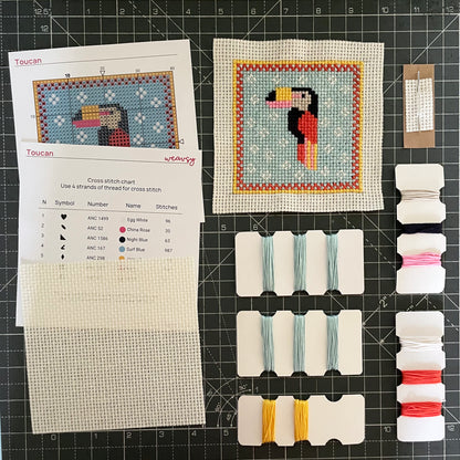 Cross Stitch Kit — Wings