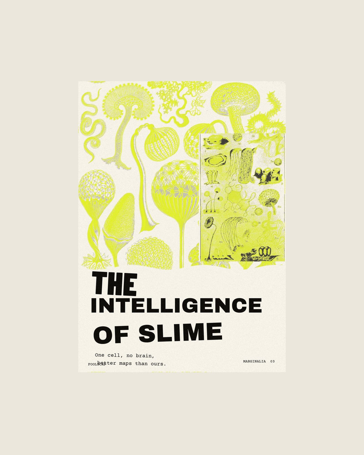The Intelligence of Slime